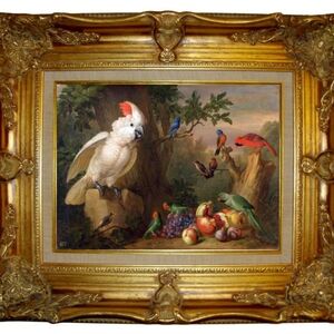 Colorful Parrot Art Print